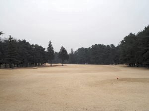 20090213