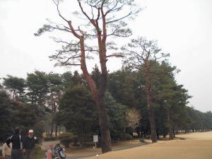 20090213