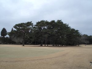 20090308