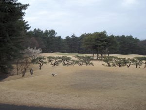 20090308