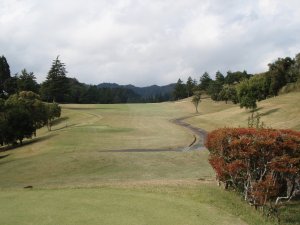 20091014